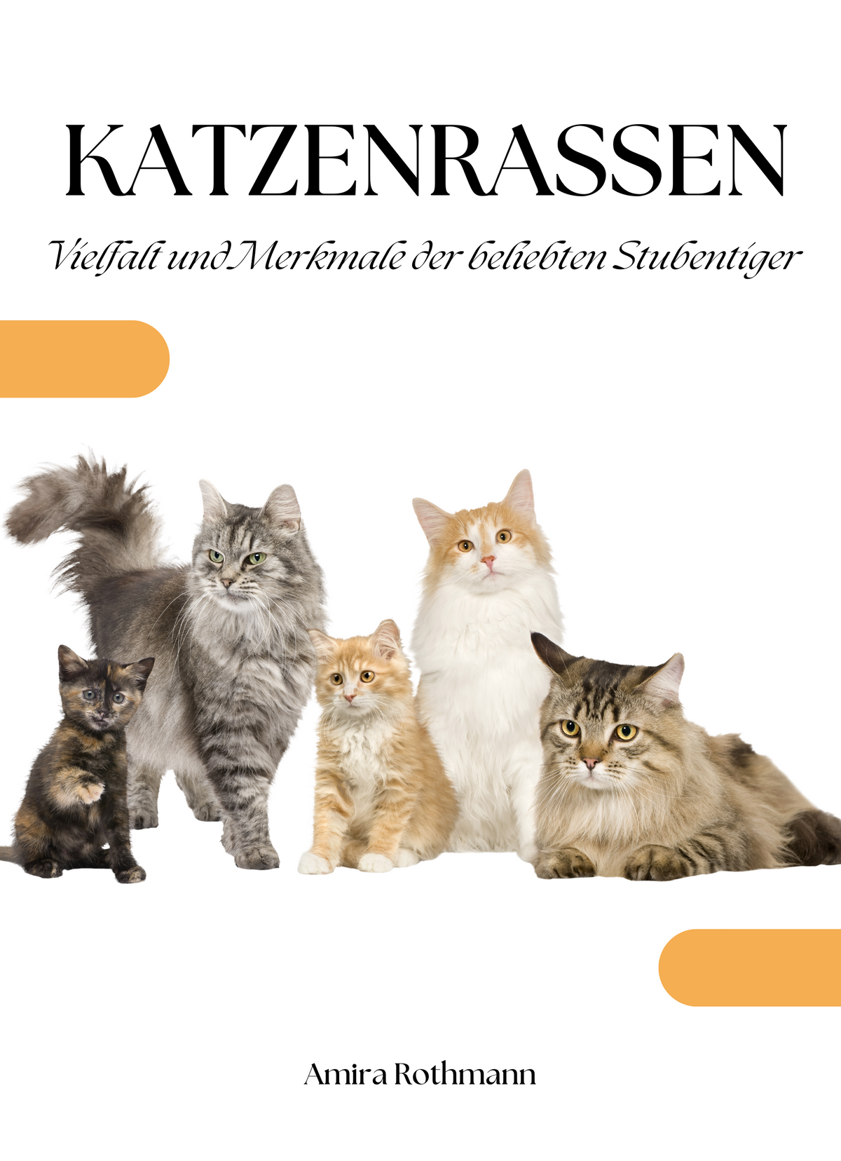 Katzenrassen