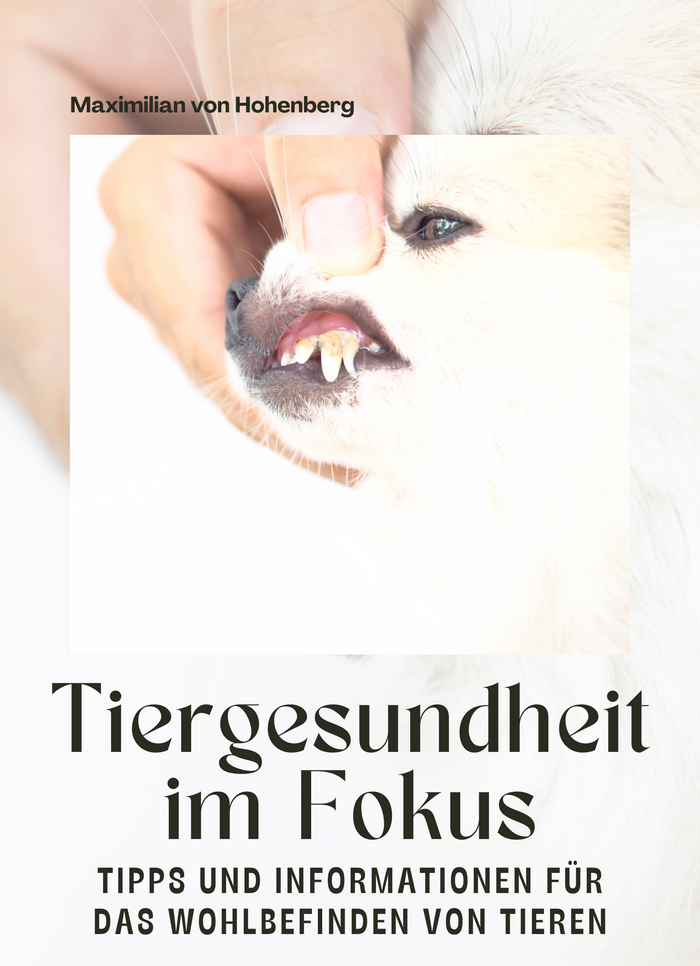 Tiergesundheit im Fokus