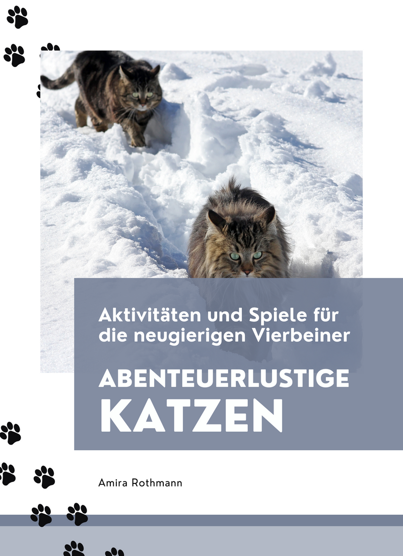 Abenteuerlustige Katzen