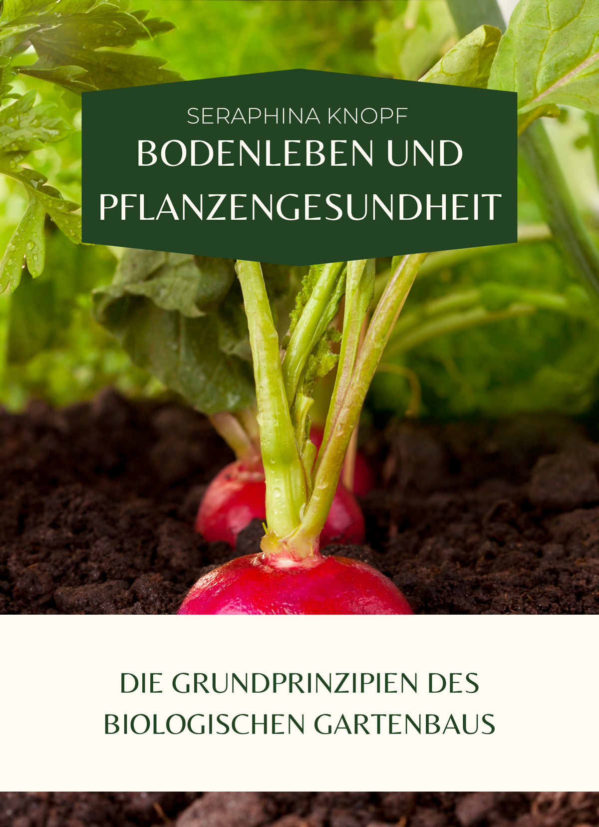 Bodenleben und Pflanzengesundheit