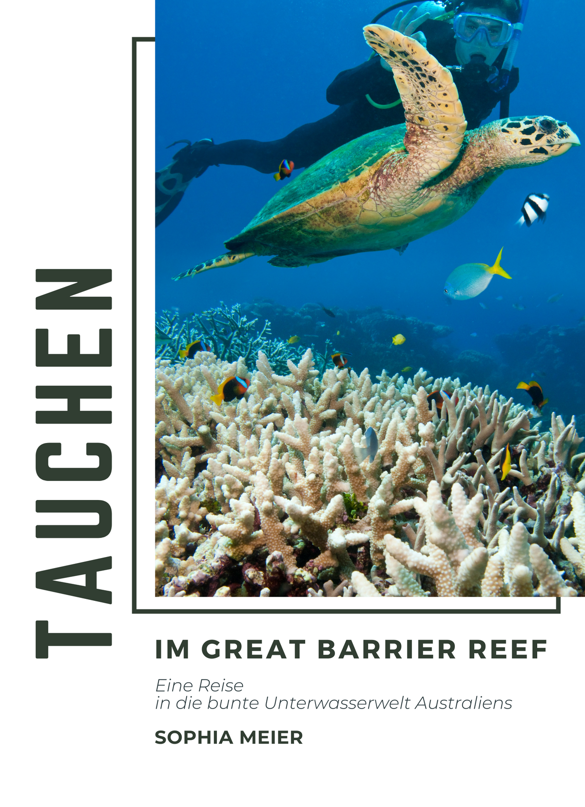 Tauchen im Great Barrier Reef