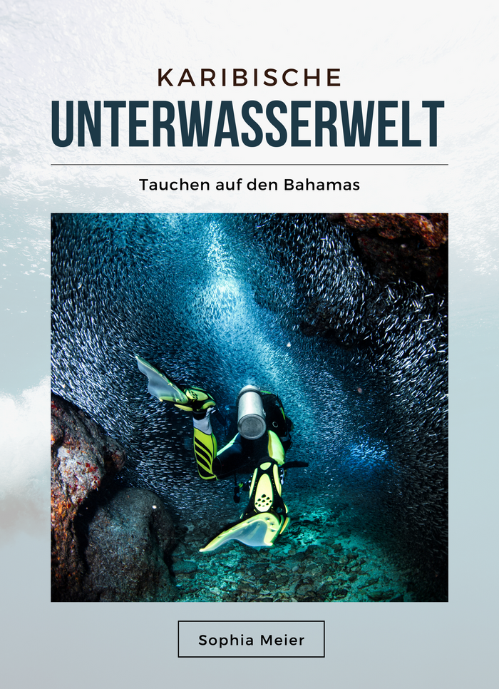 Karibische Unterwasserwelt