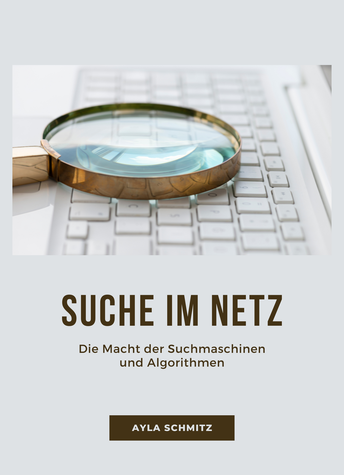 Suche im Netz