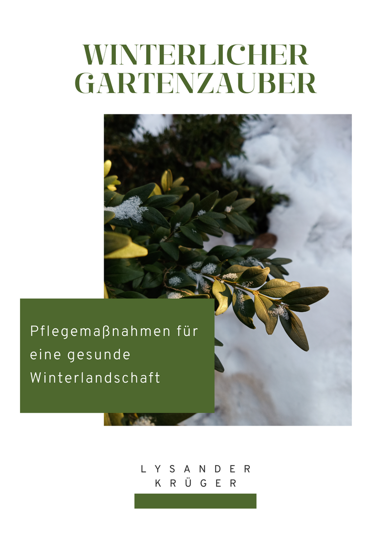 Winterlicher Gartenzauber