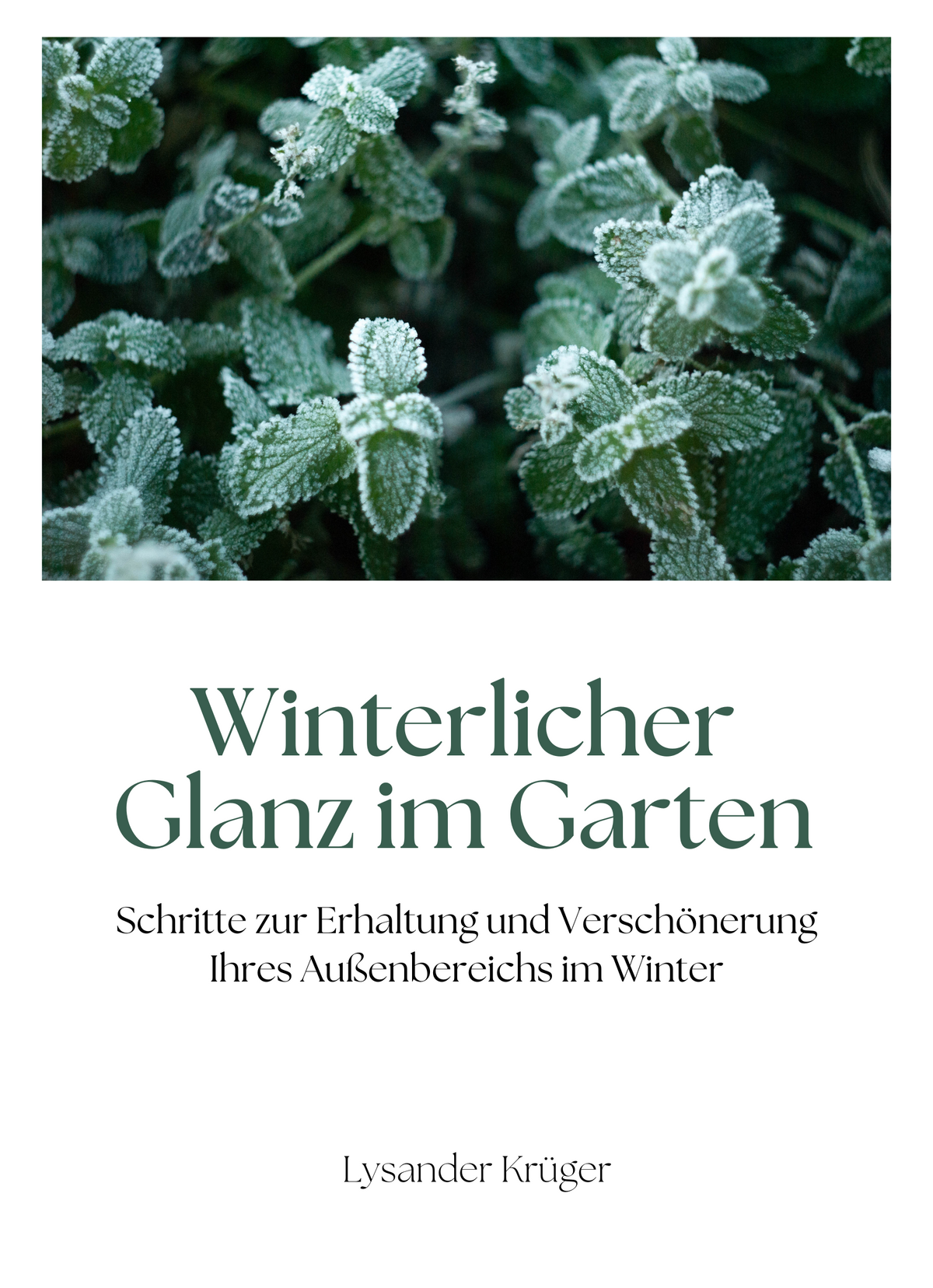 Winterlicher Glanz im Garten