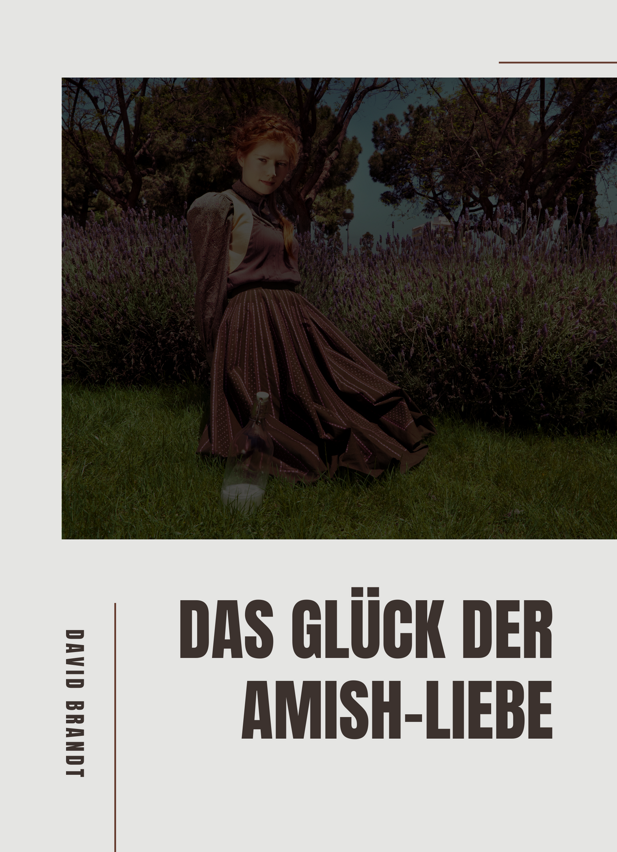 Das Glück der Amish-Liebe