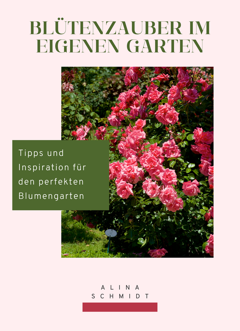 Blütenzauber im eigenen Garten