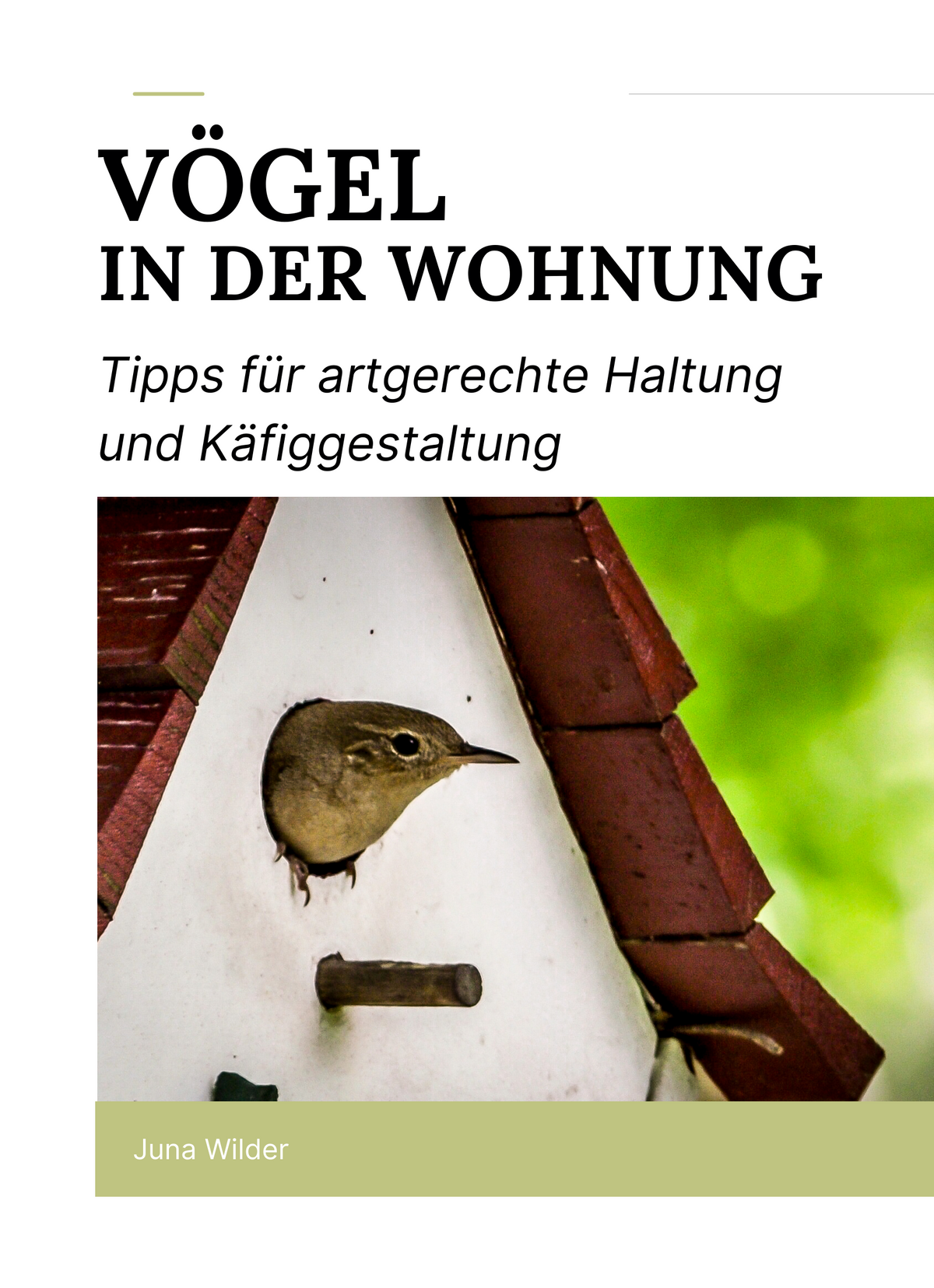 Vögel in der Wohnung