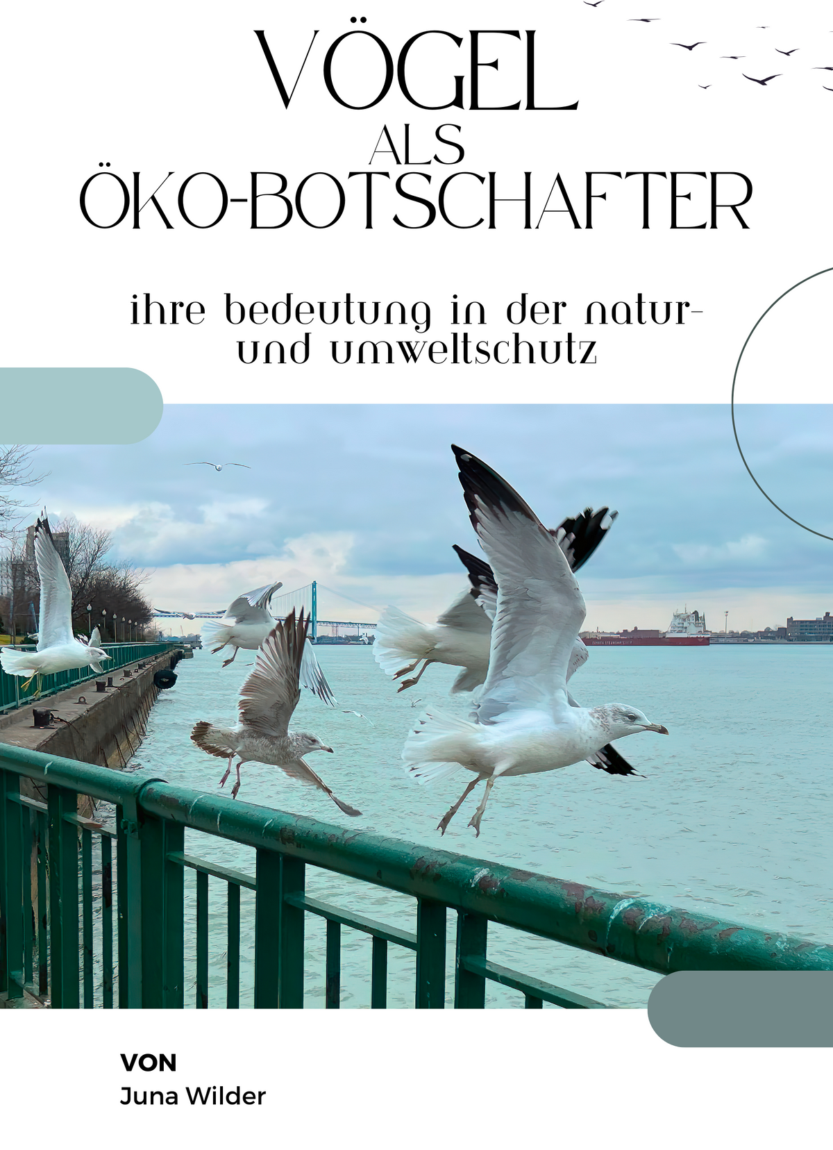 Vögel als Öko-Botschafter