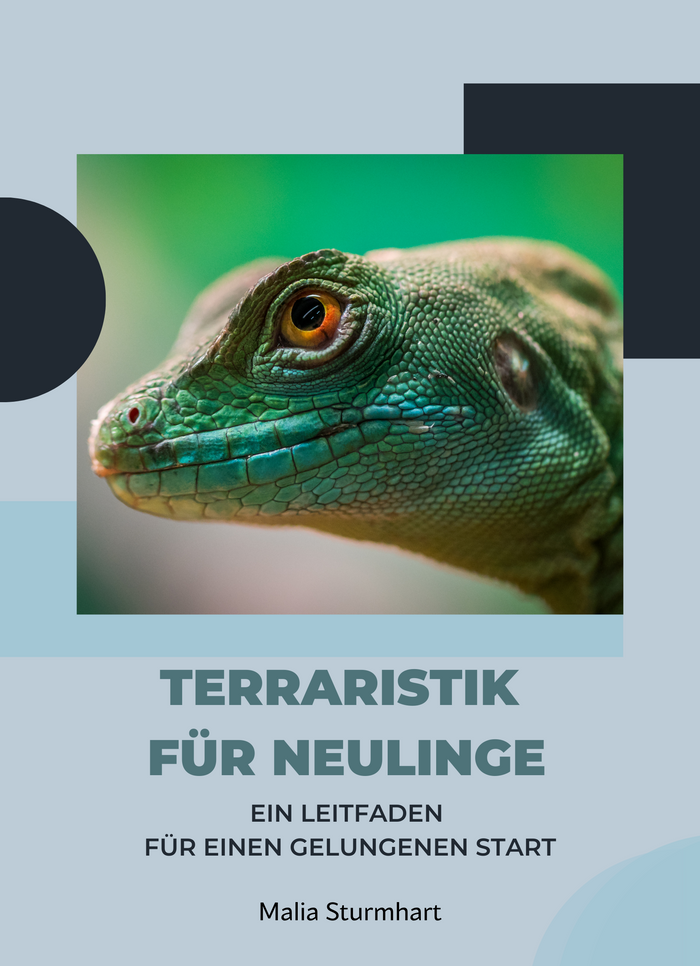 Terraristik für Neulinge