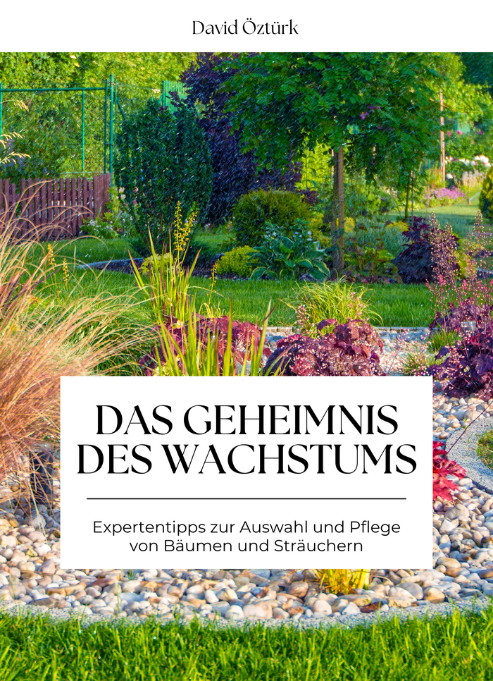 Das Geheimnis des Wachstums