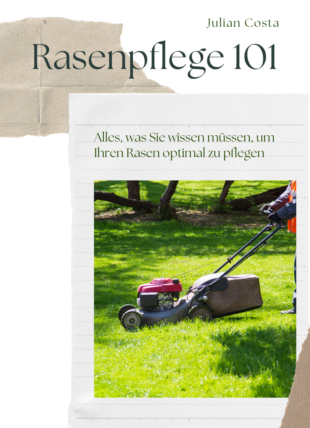 Rasenpflege 101